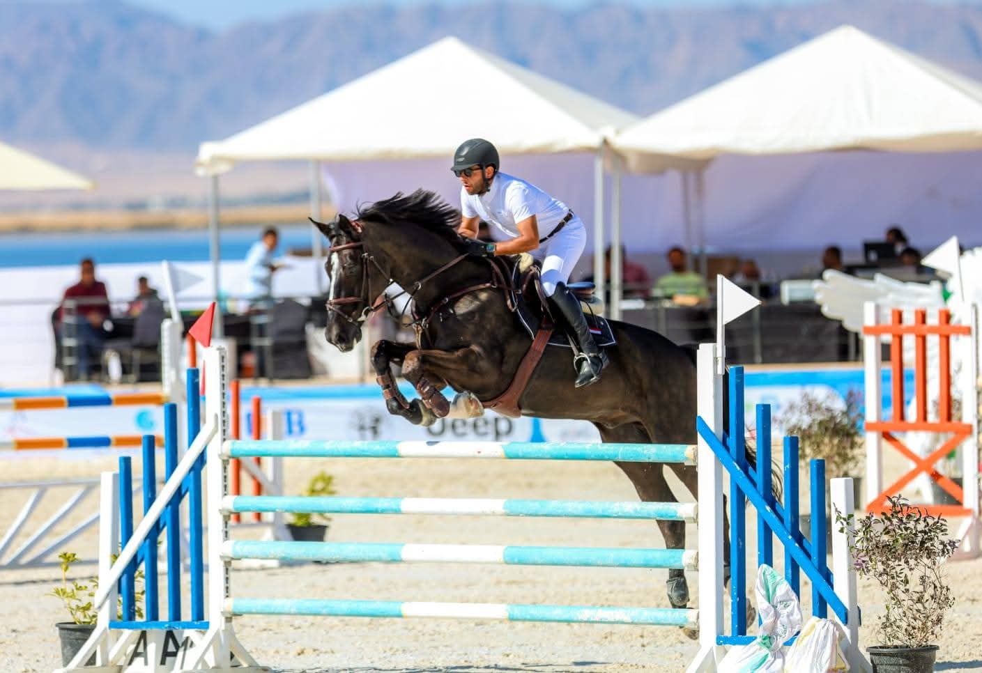 وزير الشباب والرياضة يشيد بكأس مصر للفروسية والتنظيم المتميز ويؤكد دعم تطويرها