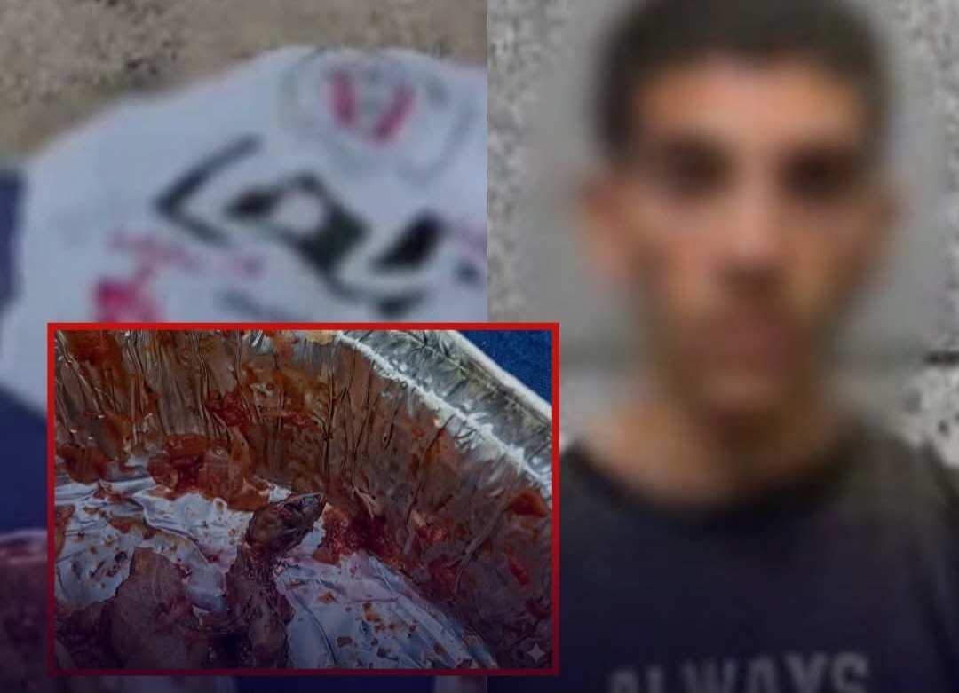 برص في المكرونة ... القـ ـبض علي صاحب مطعم في سوهاج بعد شكوي زبون