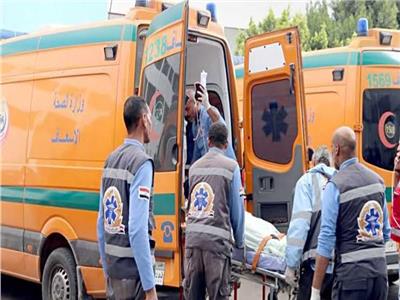 نقل ثقيل يدهس الأم و3 أطفال أثناء عبورهم الطريق في القليوبية