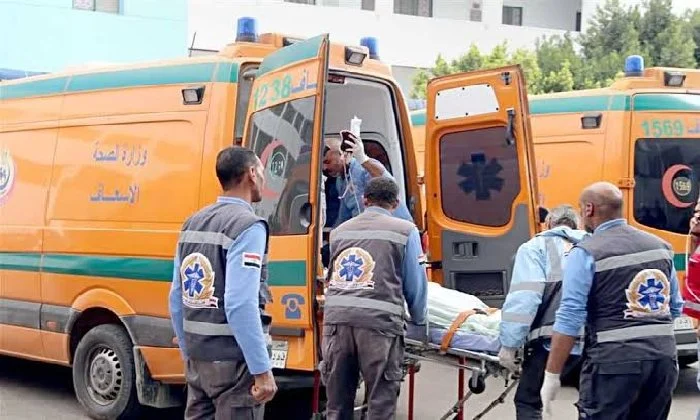 6 مصابين في حادث تصادم سيارة ربع نقل بعربة كارو أعلى كوبري النيل بالمنيا