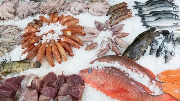 أسعار الأسماك تتباين اليوم: انخفاض في البوري وارتفاع في البلطي والماكريل