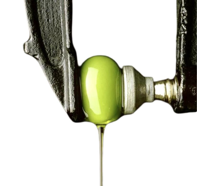 زيت الزيتون: كنز غذائي يساهم في صحة أهل المتوسط