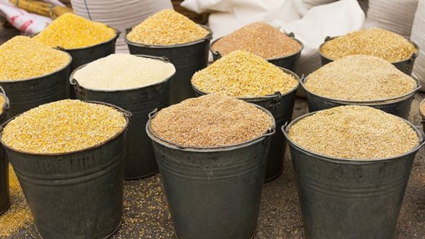 تراجع ملحوظ في أسعار الذرة والصويا في الأسواق المصرية اليوم