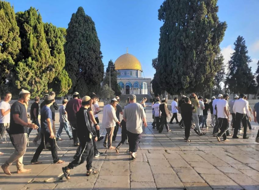 110 مستوطنين يقتحمون الأقصى وسط إجراءات أمنية مشددة