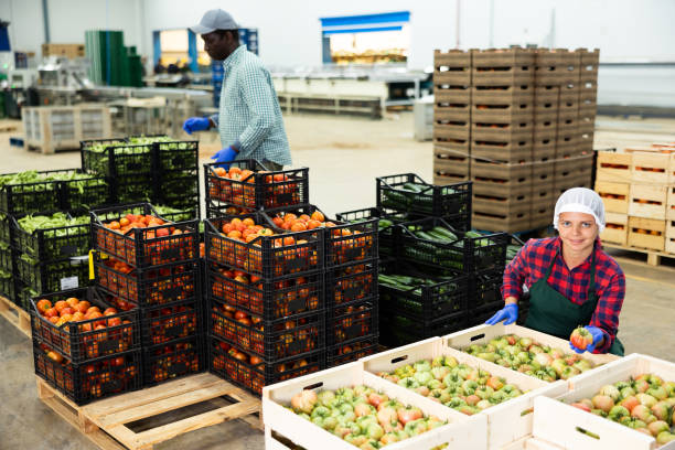 1446 شركة تحصل على 2782 إذن تصدير للحاصلات الزراعية في أسبوع واحد