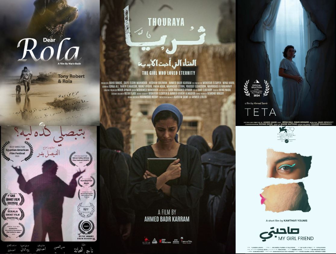 "أطياف من السينما المستقلة" تحتضن 6 أفلام جديدة بمركز الإبداع الفني