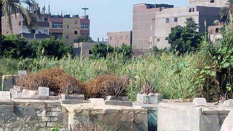الإسكندرية: القبض على المتورطين في هدم مقبرة وبلاغات كاذبة