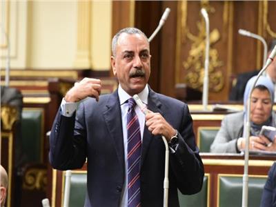 عضو القومي لحقوق الإنسان: الأمن في مصر واقع ملموس يبرز في سيناء