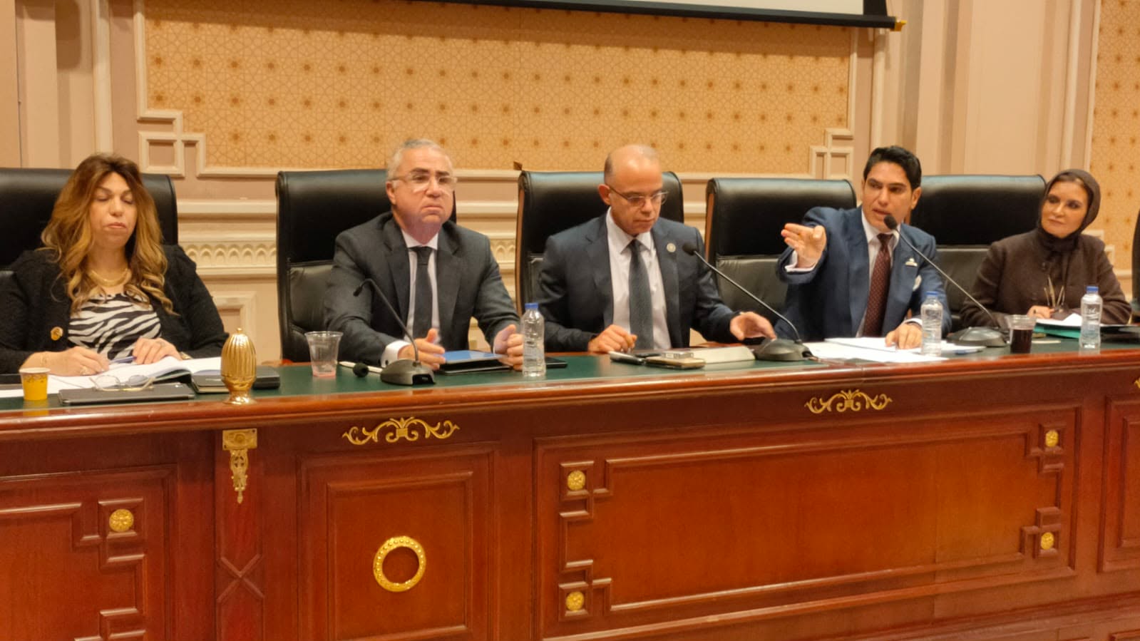 لجنة الشؤون المالية بمجلس الشيوخ تناقش تعزيز قانون الاستثمار لجذب المزيد من الاستثمارات