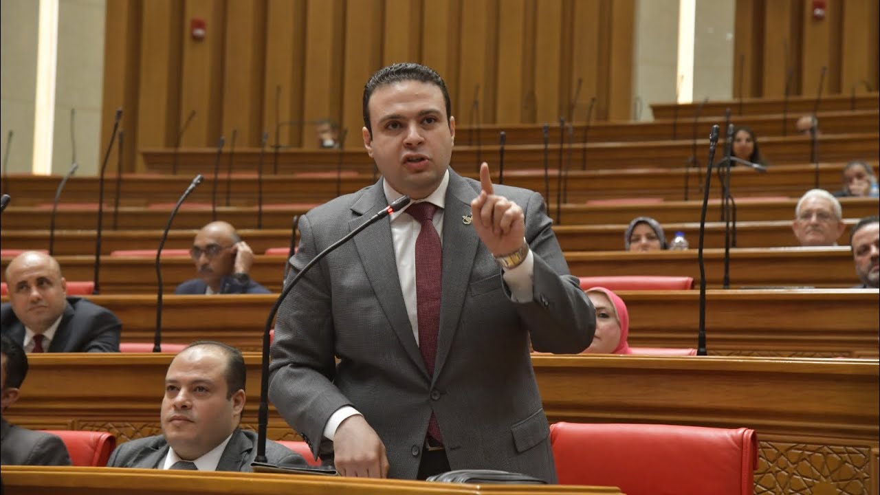 نائب: لجوء النساء للطلاق للحصول على المعاش يعكس خللًا في المنظومة
