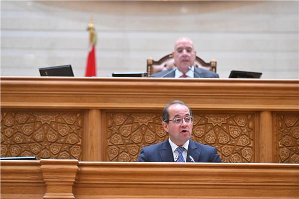 وزير المالية: خطوات جادة لتعزيز الشفافية وضبط المالية العامة