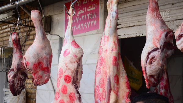 دليل شامل لشراء اللحوم قبل عيد الأضحى: الأسعار والنصائح الهامة