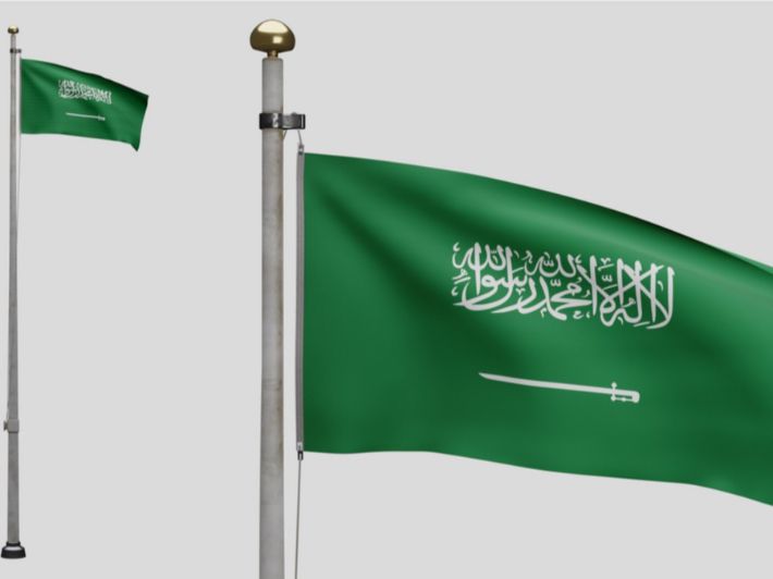 السعودية تعلن دعمها للبحرين ضد الأنشطة المهددة للأمن الوطني