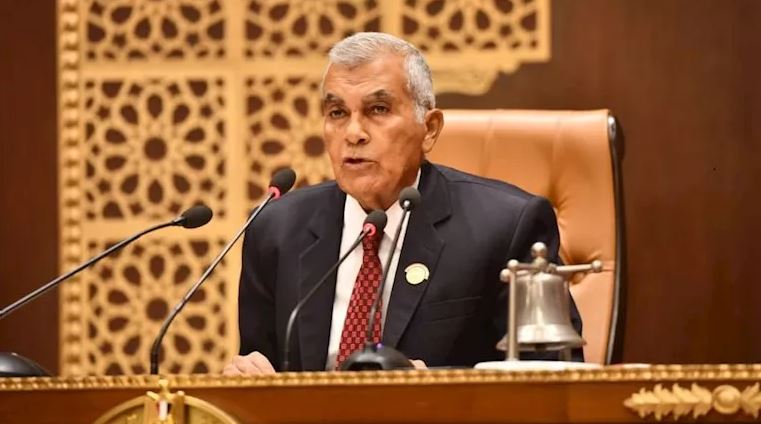 مجلس الشيوخ يرفض رفع الحصانة عن النائب محمد لطفي بعد التصالح العائلي