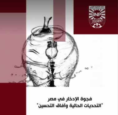 معهد التخطيط القومي يكشف عن تحديات فجوة الادخار في مصر وآفاق التحسين