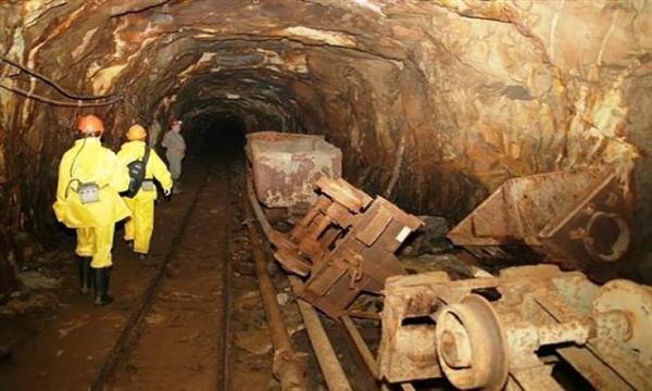 حكم قضائي حاسم ينتظر مشروع تعدين بيلو صن في غابات الأمازون