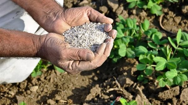تباين أسعار الأسمدة في الأسواق المحلية وتراجع اليوريا العادي