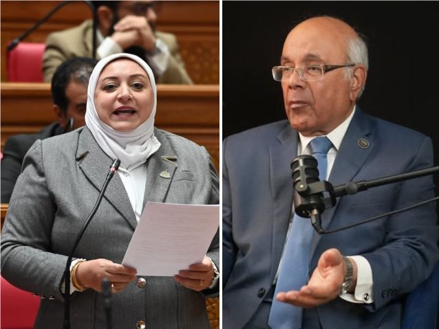 لجنة محلية النواب تشرع في إعداد قانونين جديدين للمحليات