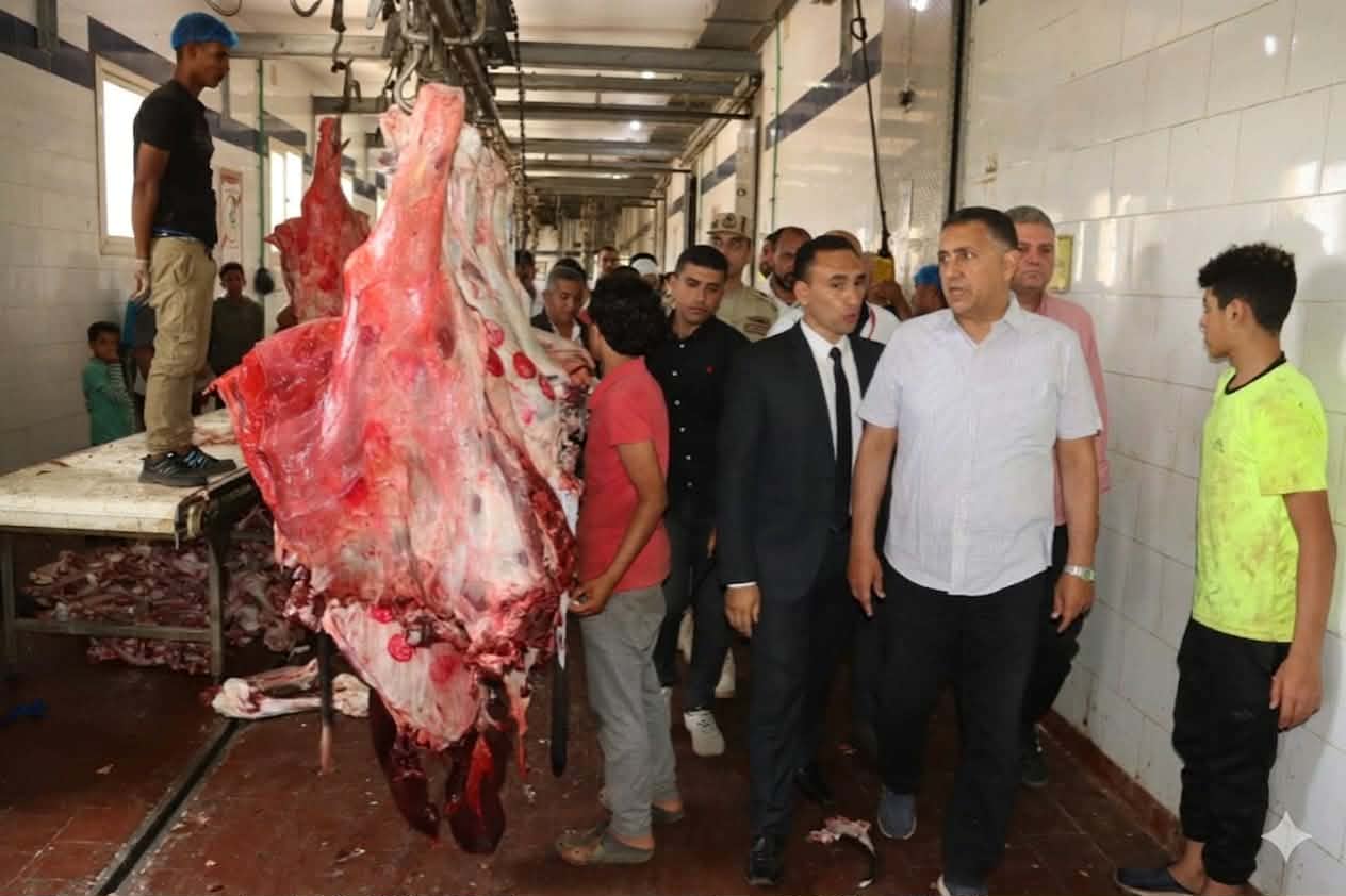 القليوبية تستعد لاستقبال الأضاحي بخدمات ذبح مجانية خلال عيد الأضحى
