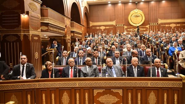 مجلس الشيوخ يبدأ مناقشة خطة التنمية 2026/2027 بعد إحالتها للجنة الاقتصادية