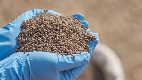 استقرار أسعار الأسمدة في السوق المصرية رغم ضغوط السوق السوداء