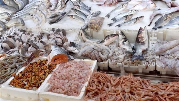 أسعار الأسماك في سوق العبور اليوم: من البلطي إلى الجمبري