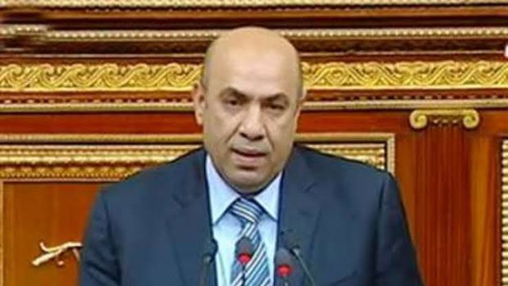 النائب عبد النبي يدعو لتوسيع صلاحيات مجلس الشيوخ لدعم التنمية المستدامة