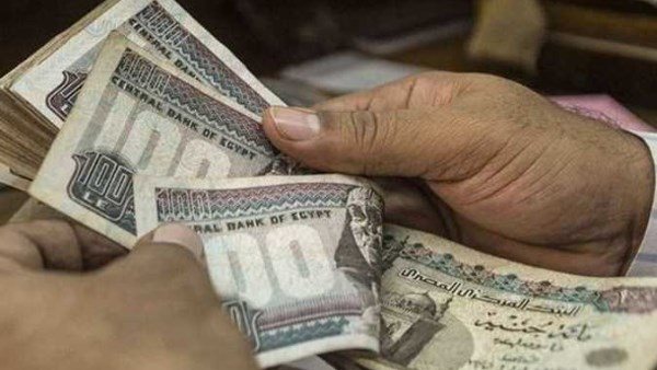 شروط جديدة لصرف المعاش المبكر لعام 2026: كل ما تحتاج معرفته