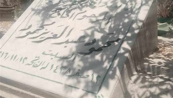 الإسكندرية تحتفل بذكرى ميلاد الساحر محمود عبد العزيز الثمانين