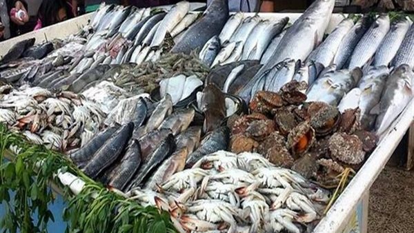 أسعار الأسماك تتأرجح في سوق العبور: ارتفاع البوري وانخفاض البلطي