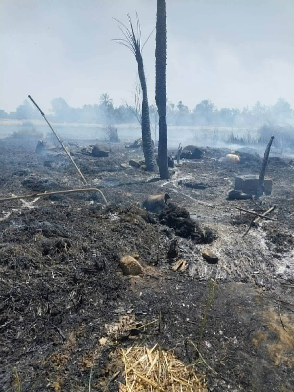 حريق يلتهم أحواش ماشية في الأقصر ويؤدي لنفوق 40 رأساً