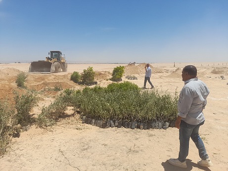 قنا تزيل تعديات على 1120 فدانًا ضمن الموجة 29