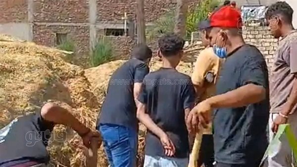 تحذيرات من لدغات الزواحف: 4 إصابات في الشرقية خلال ساعات
