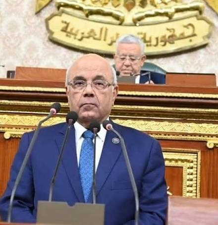 الفيومي: ضرورة تقليص المجالس المحلية لتحسين الأداء التنفيذي