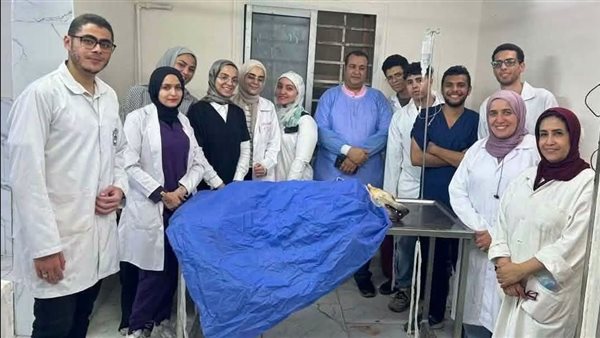 طلاب بيطري القاهرة ينجحون في حملة لتعقيم الكلاب الضالة