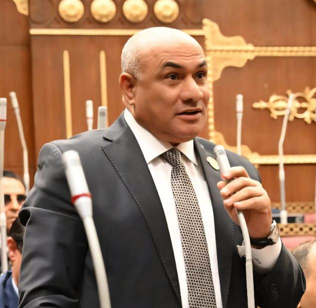 النائب شعبان رأفت: دعم المبدعين يعزز الملكية الفكرية ويحقق العدالة