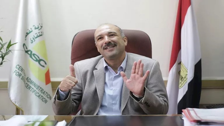الكتان: الذهب الأخضر لمصر وأهمية تطوير زراعته وصناعته