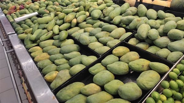 ارتفاع ملحوظ في أسعار المانجو اليوم في أسواق العبور