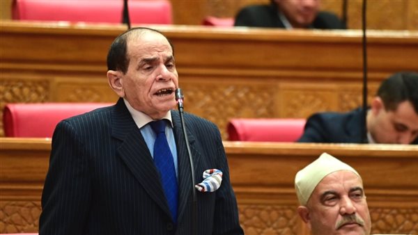 دعوة للاستفادة من التجربة الفرنسية في حظر التواصل الاجتماعي للأطفال
