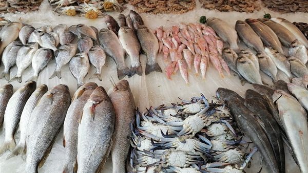 انخفاض في أسعار البلطي وارتفاع المكرونة وقشر البياض اليوم