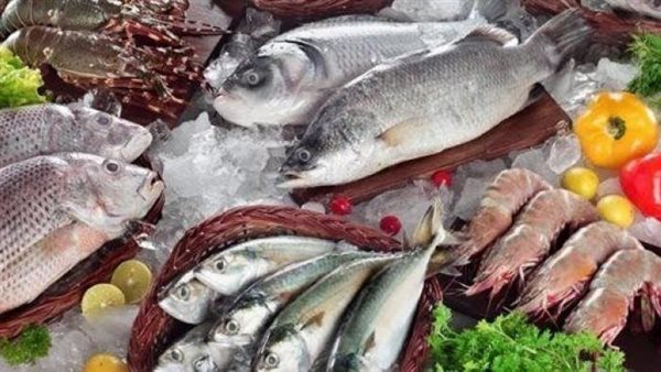 انخفاض أسعار السمك في سوق العبور اليوم الأحد
