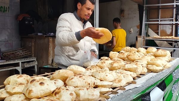 شعبة المخابز ترد على قرار وزير التموين بشأن أسعار الخبز السياحي والفينو