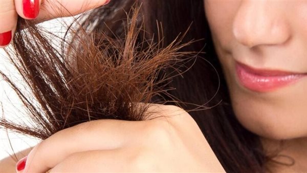وصفة طبيعية مذهلة لتنعيم الشعر وعلاج التقصف والهيشان