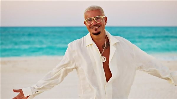 عودة هيفاء وهبي للتعاون مع رامي جمال وحفلات فنية جماهيرية متعاقبة