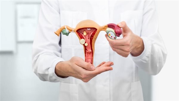 10 حقائق علمية ترد على جدل غشاء البكارة بعد تصريح مبروك عطية