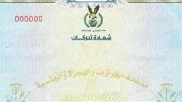 خطوات استخراج شهادة التحركات: كل ما تحتاج معرفته