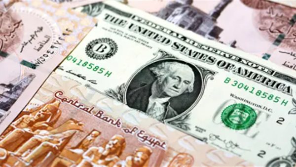 استقرار سعر الدولار أمام الجنيه في بداية تعاملات الأربعاء 19 أغسطس 2026
