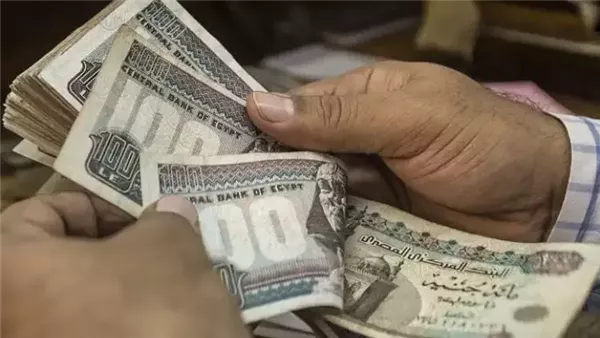 عقوبات صارمة لمواجهة الاستيلاء على الدعم الحكومي دون وجه حق