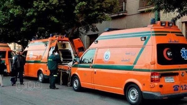 تصادم مروع بجمصة يودي بحياة شاب ويصيب طالب طب بيطري