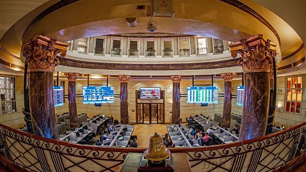 تباين أسعار الحبوب والزيوت والدواجن في السوق المصري اليوم